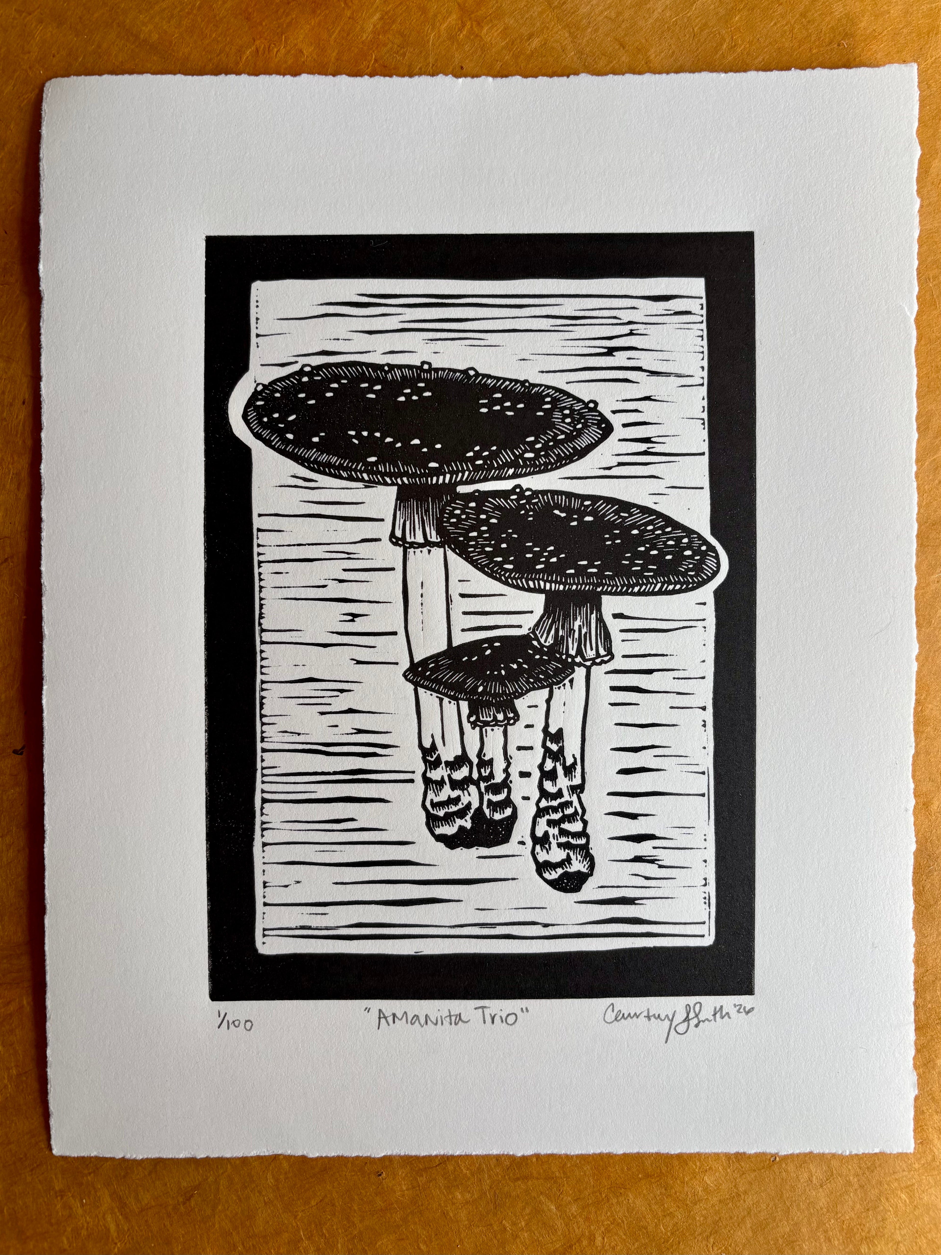 Amanita Trio