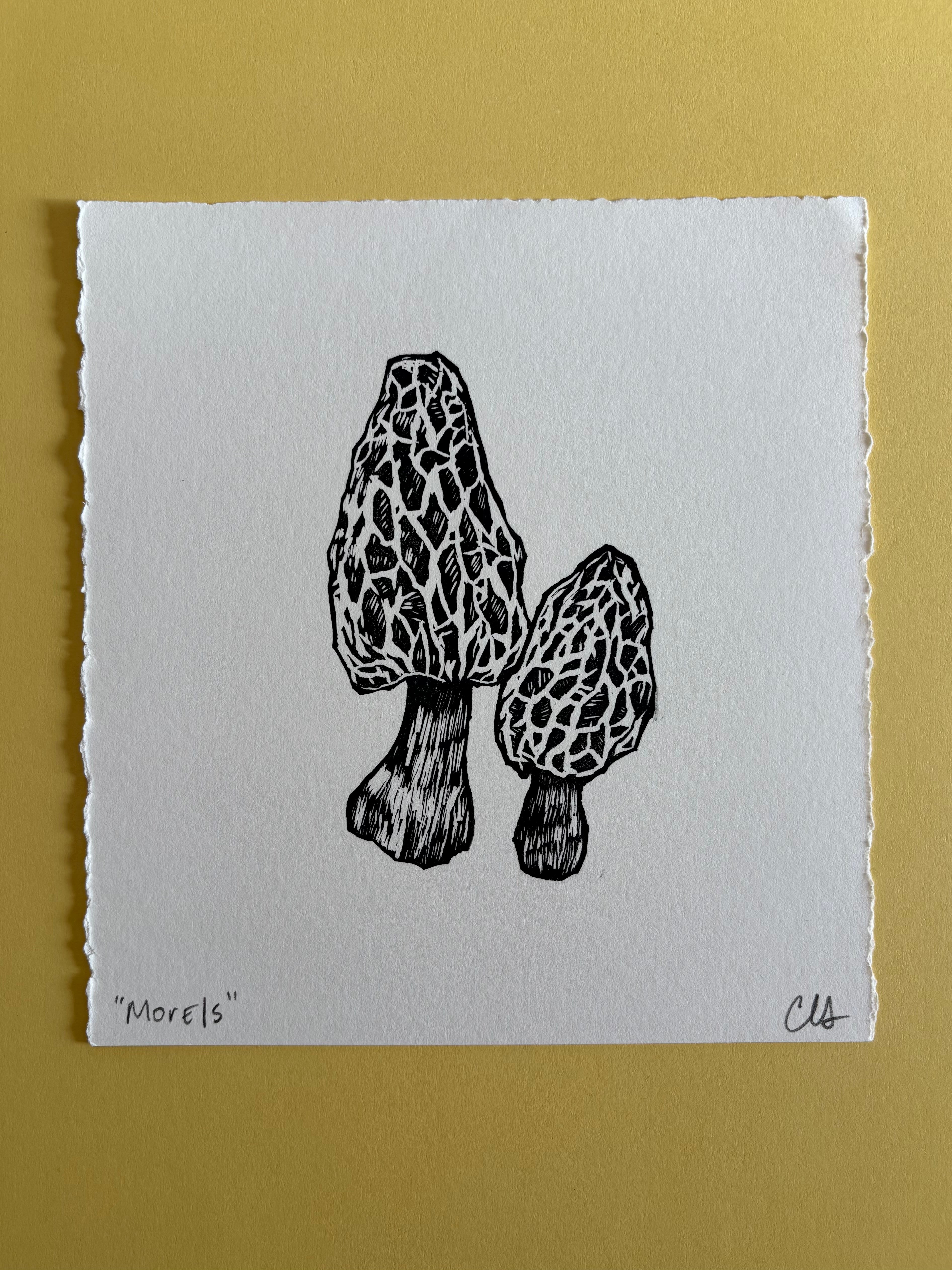Morels Print