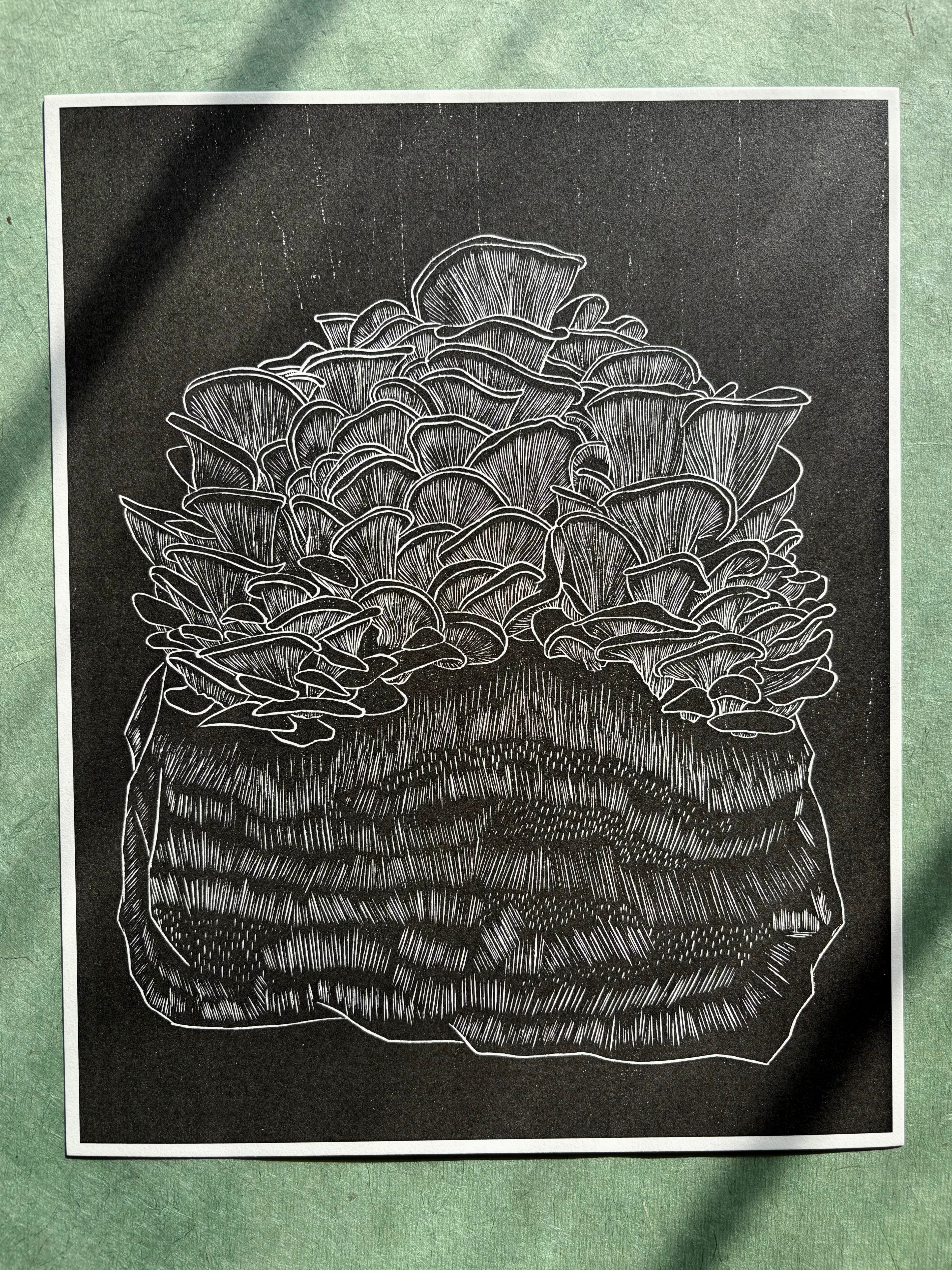 Giant Oyster Mushroom Reproduction Print