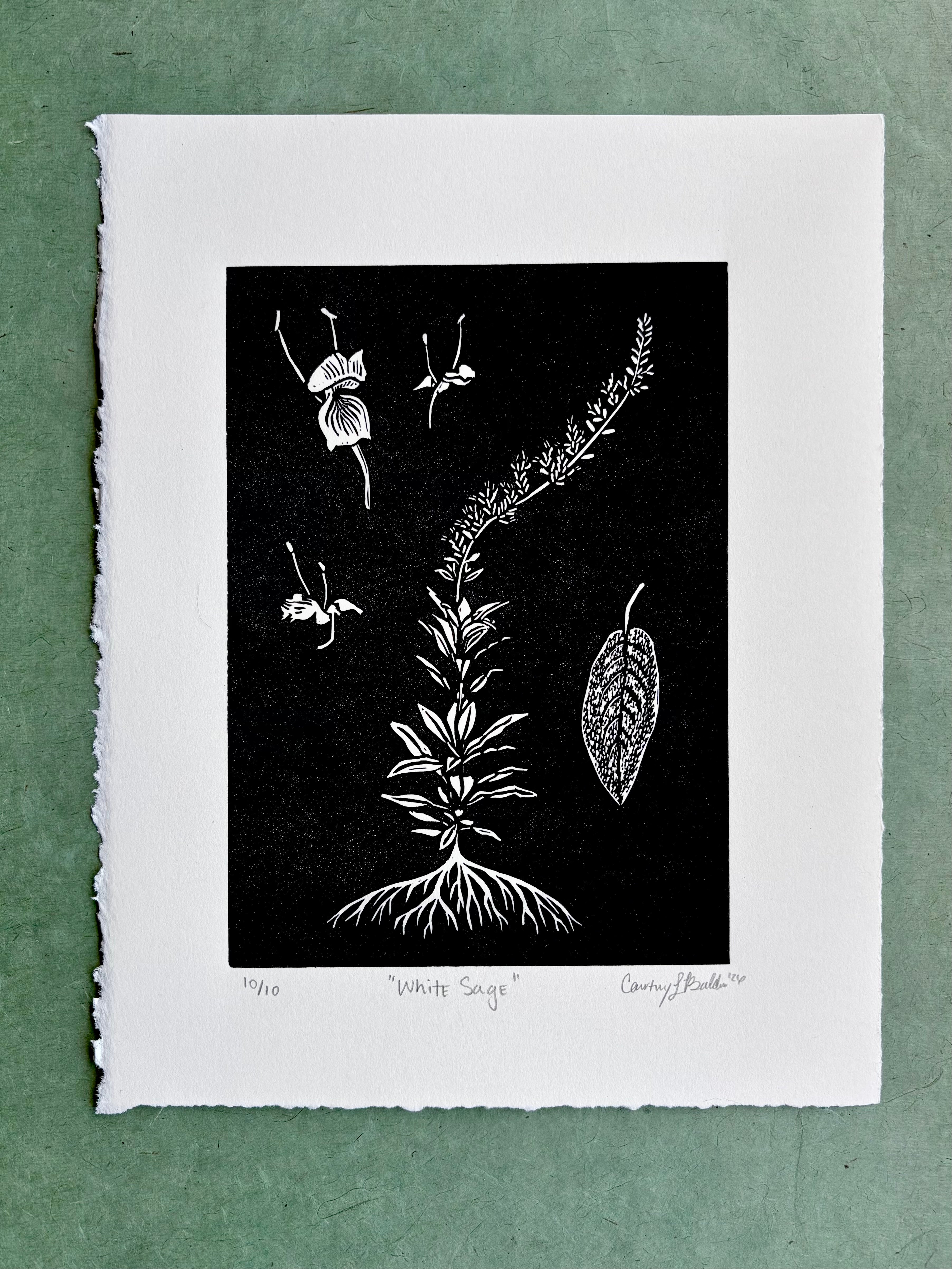 White Sage