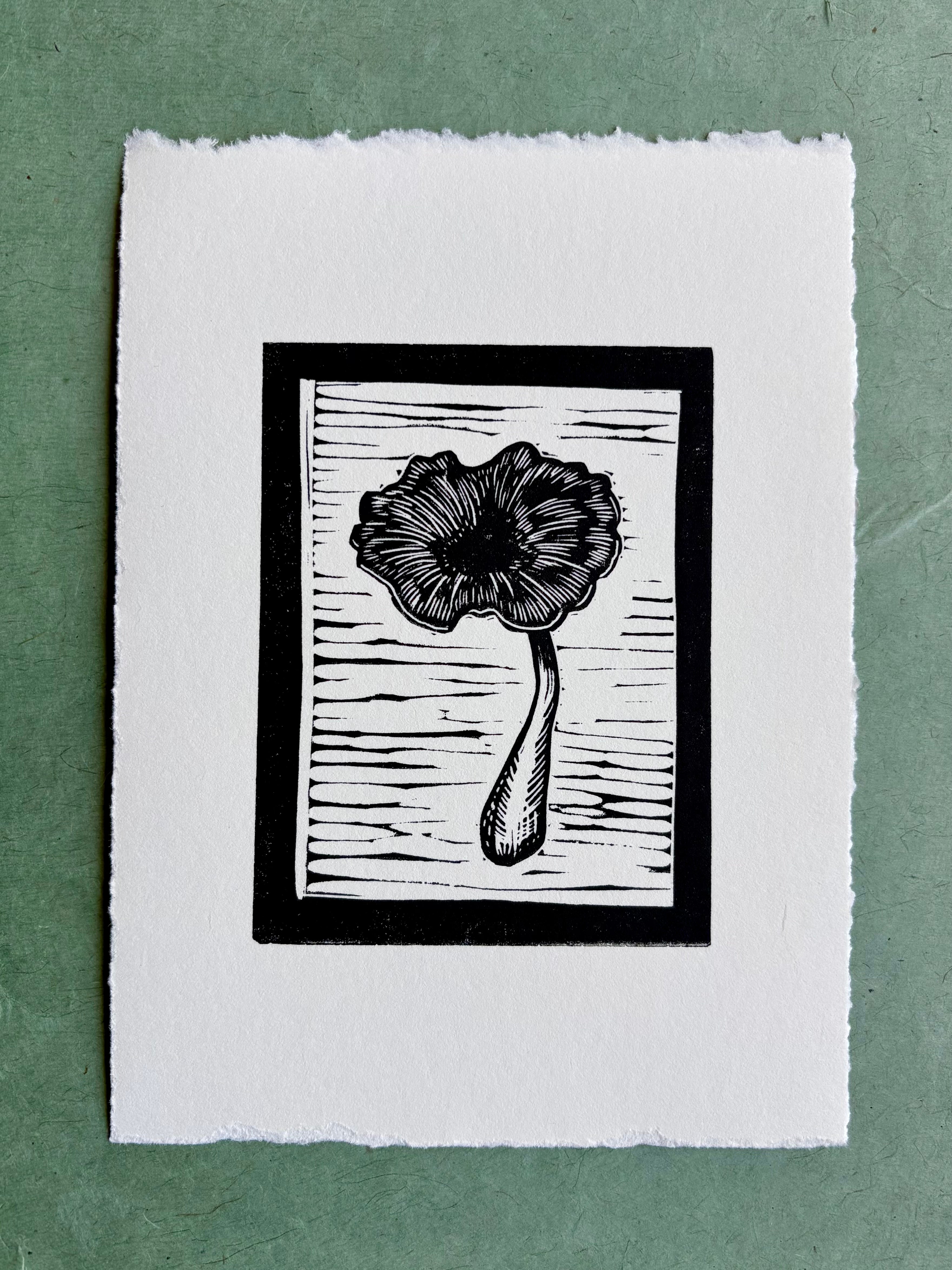 Candy Cap Print