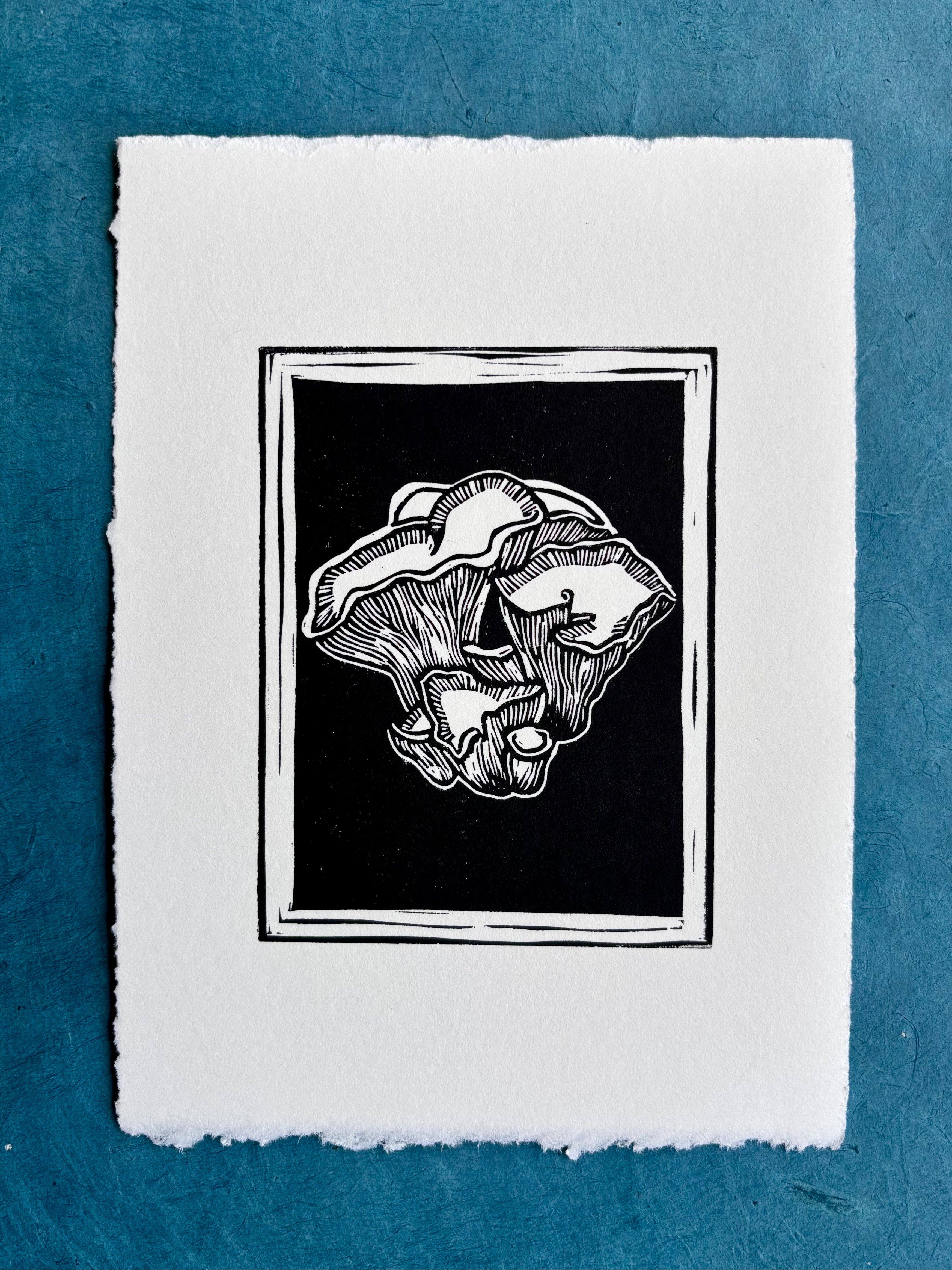 Pig's Ear Mushroom Print