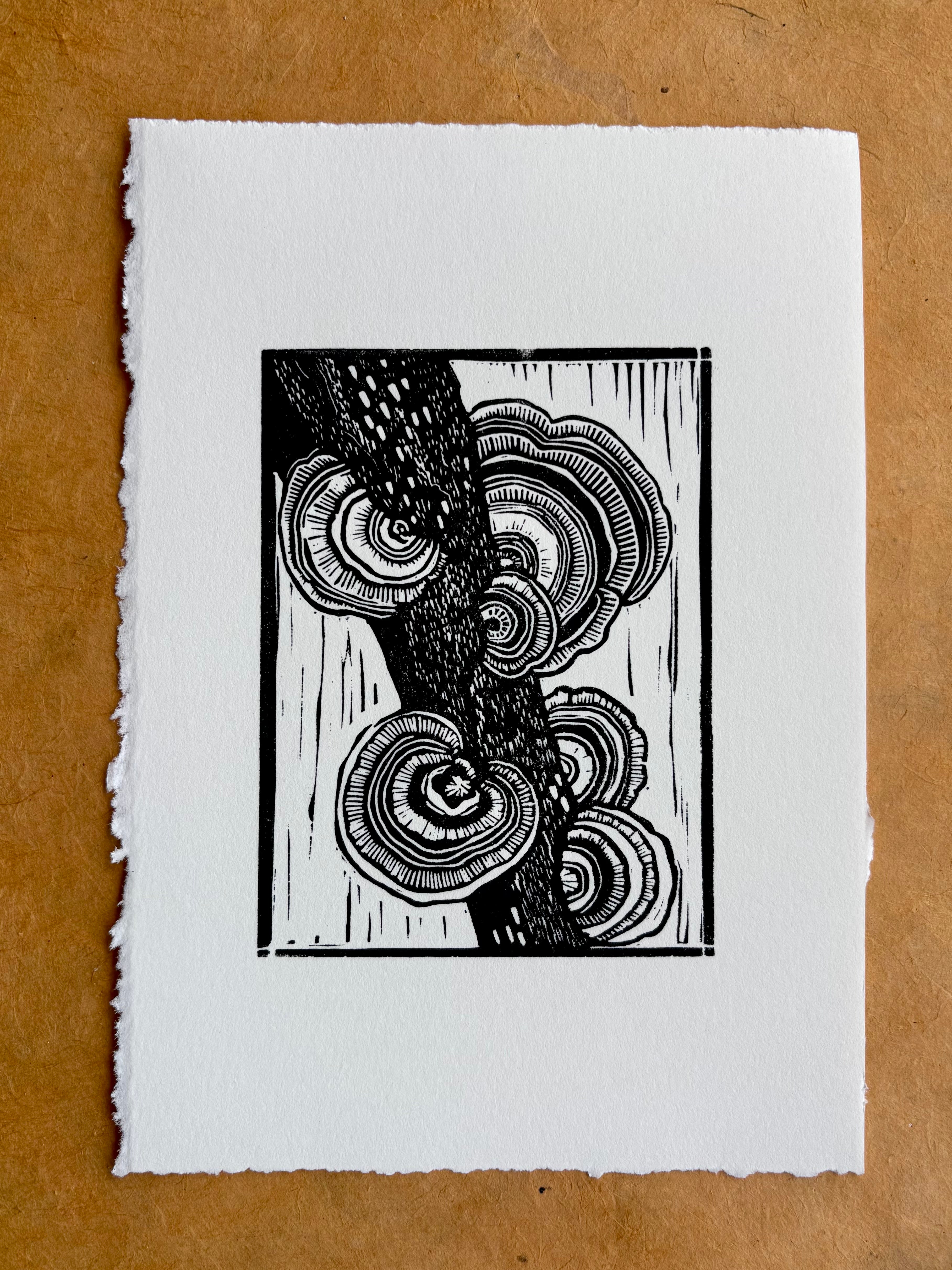 Turkey Tail Print