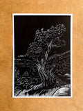 Sentinel of Echo Lake Reproduction print