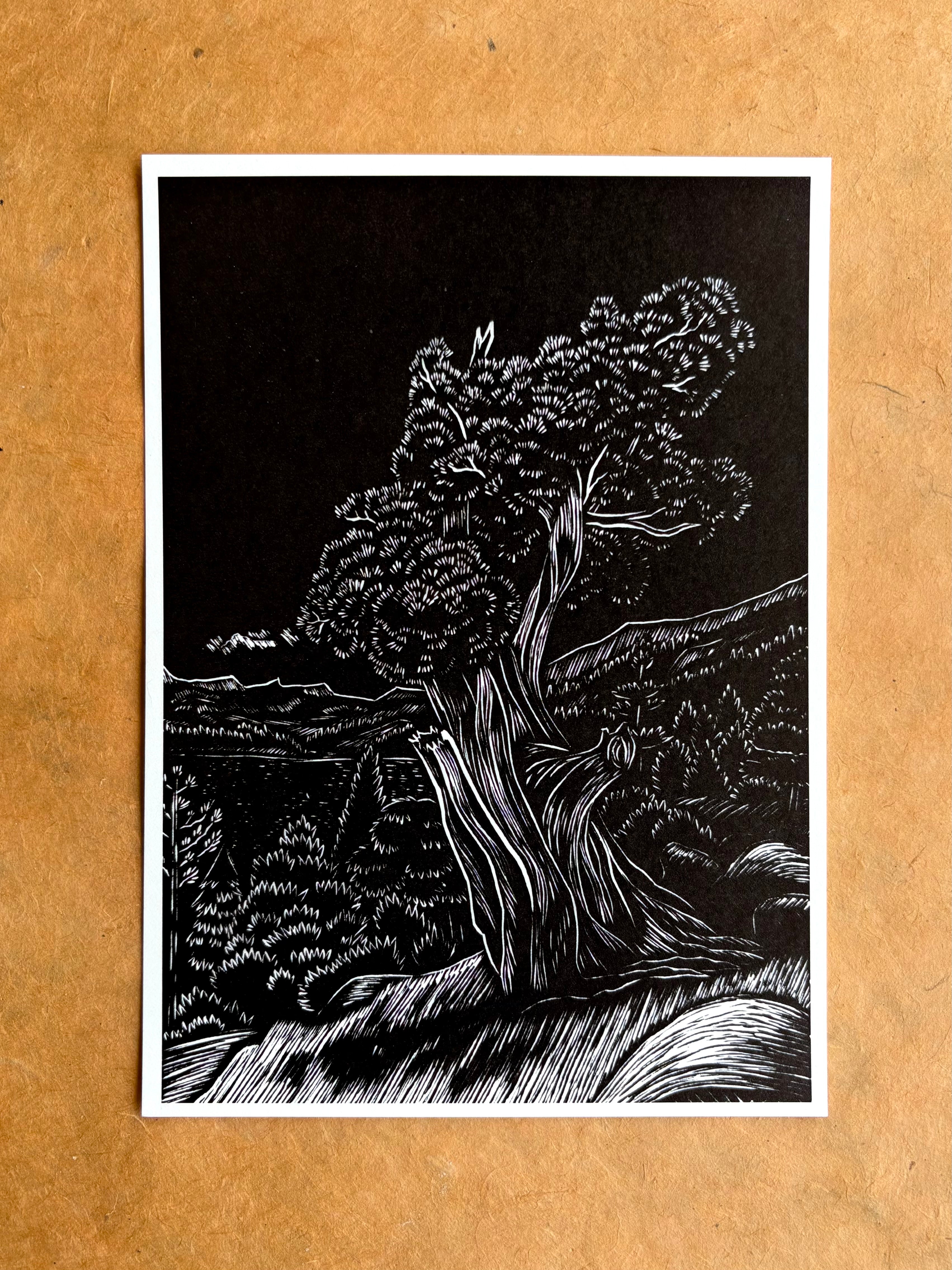 Sentinel of Echo Lake Reproduction print