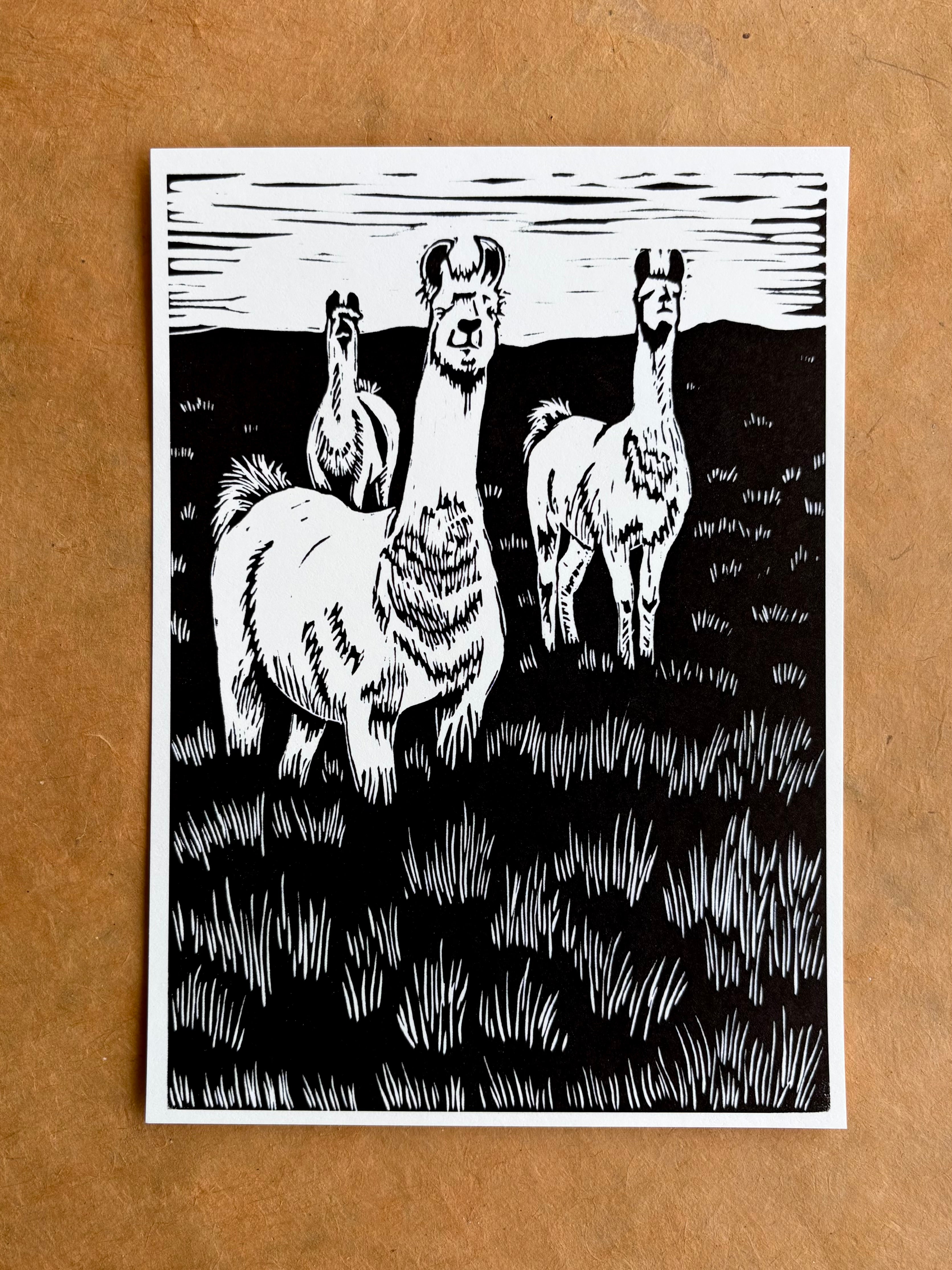 Neighborhood Llamas Reproduction print