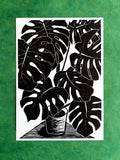 Monstera Deliciosa Reproduction print