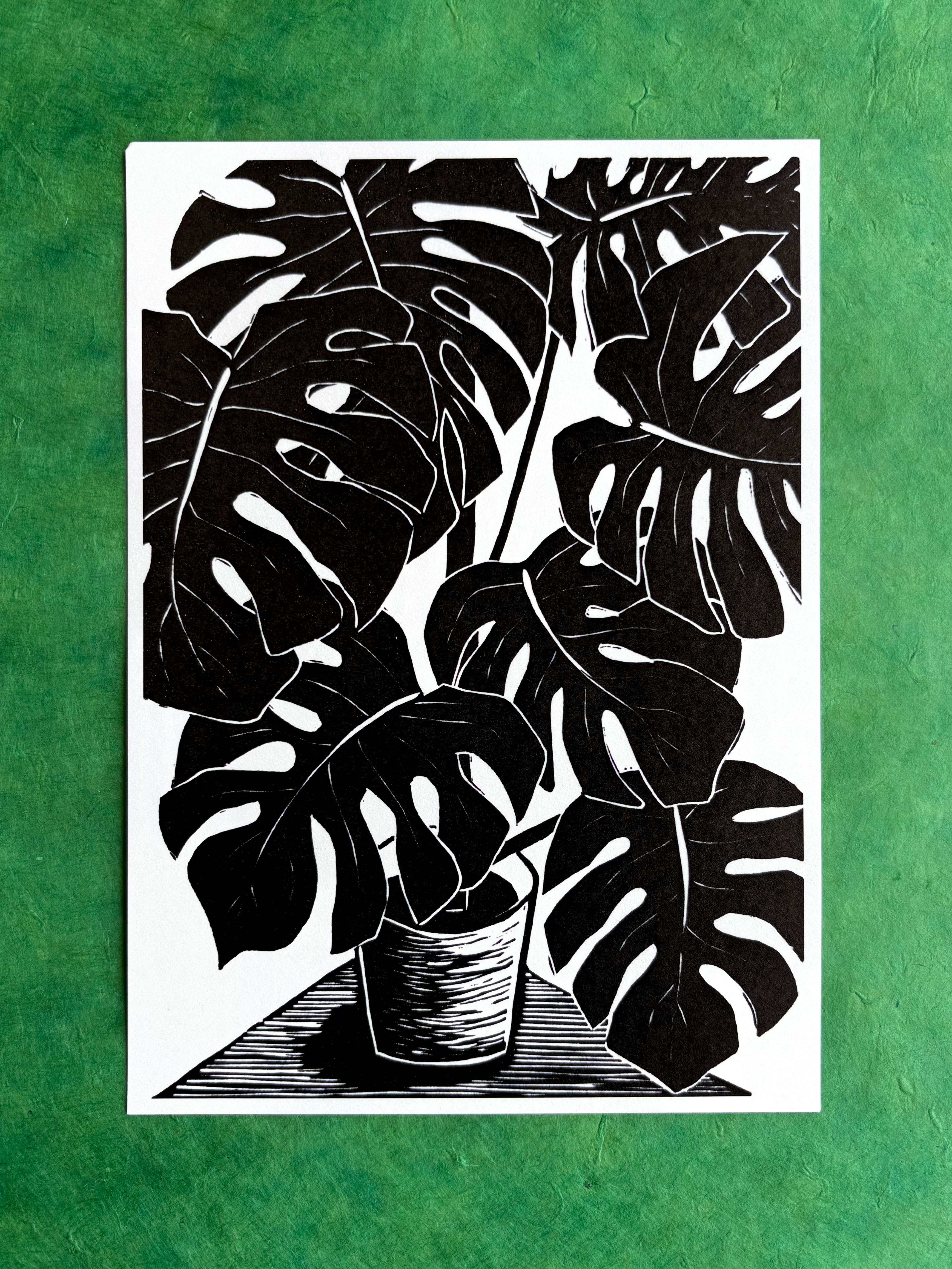 Monstera Deliciosa Reproduction print