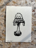 Inky Cap