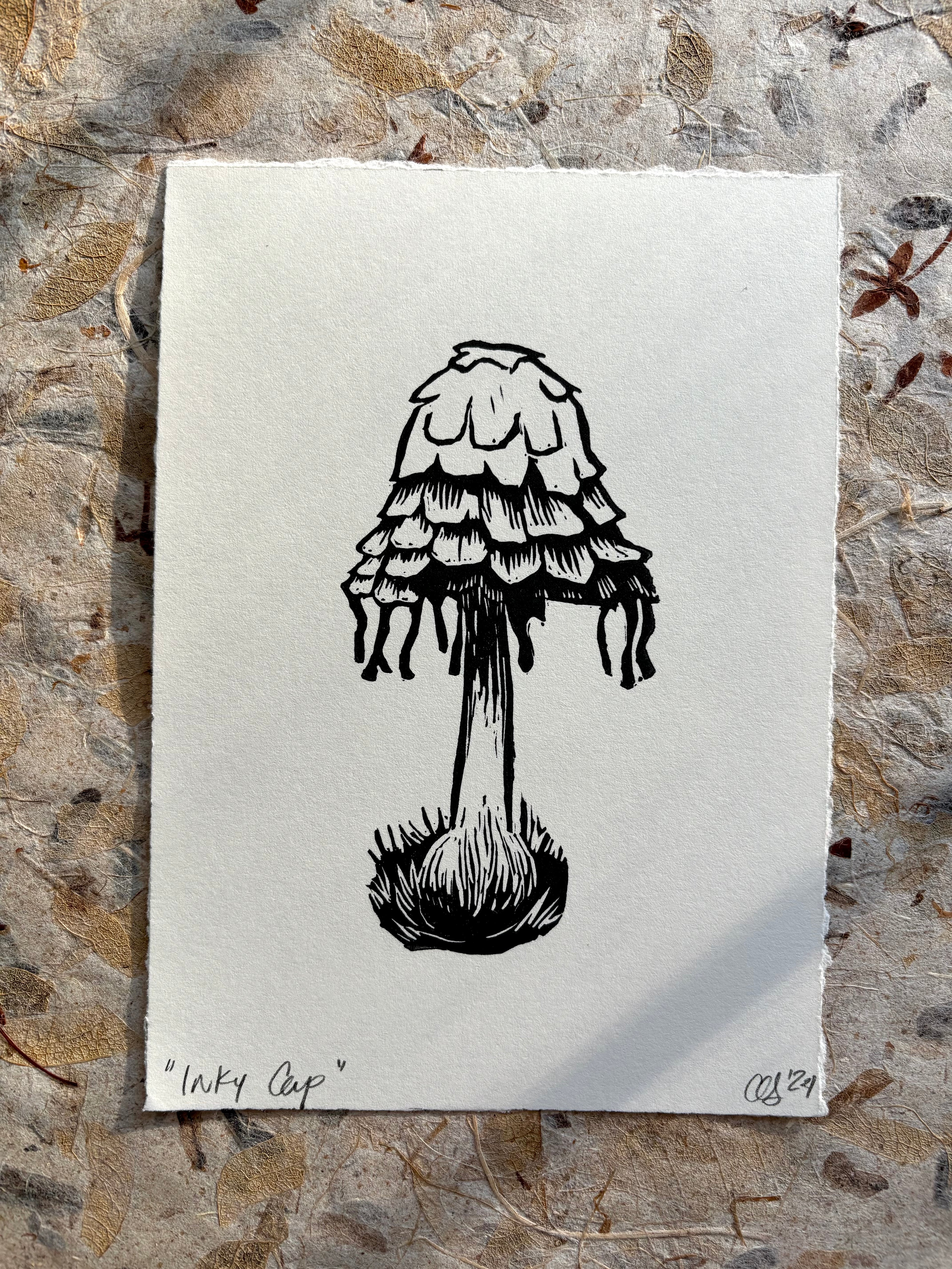 Inky Cap