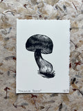 Manzanita Bolete Print
