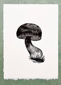 Manzanita Bolete Print