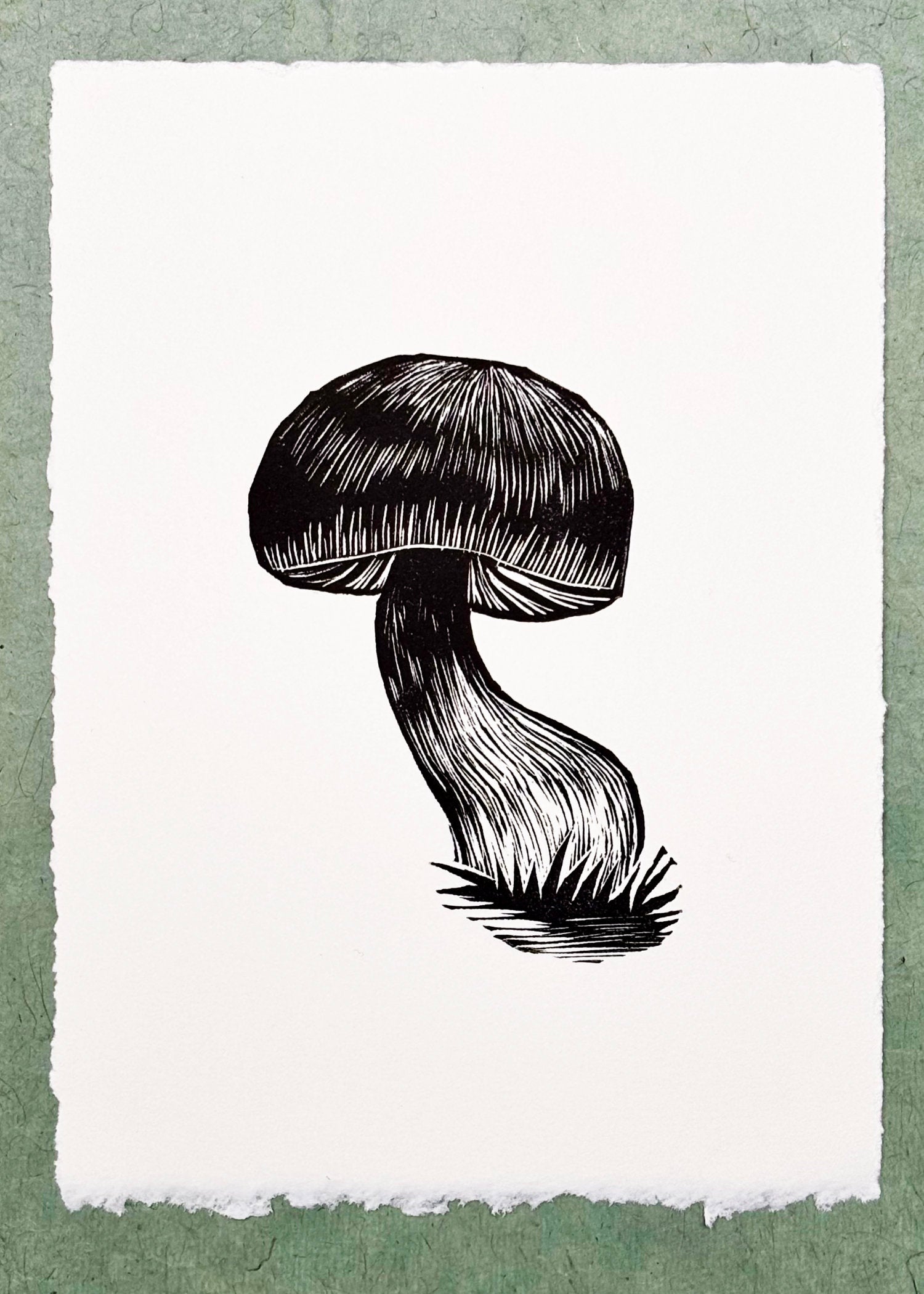 Manzanita Bolete Print