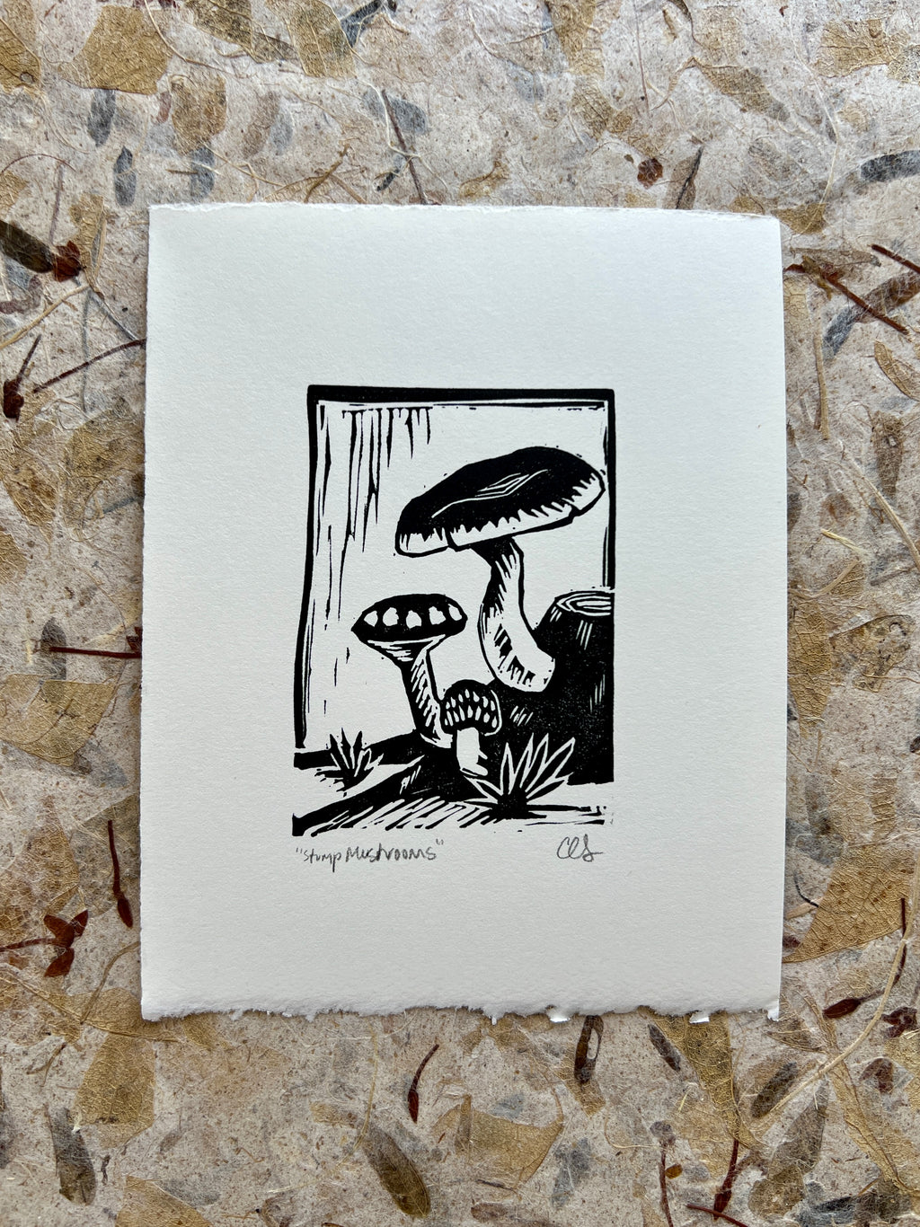 Stump Mushrooms Print
