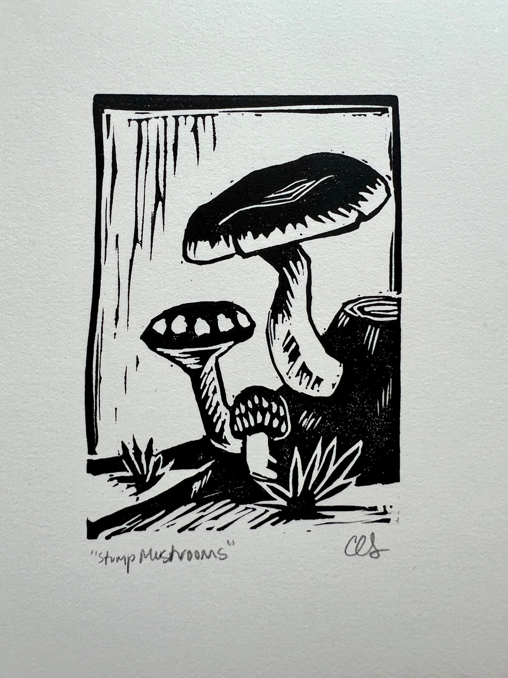 Stump Mushrooms Print